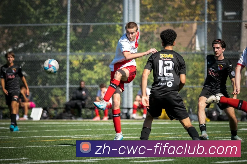 多媒体互动体验